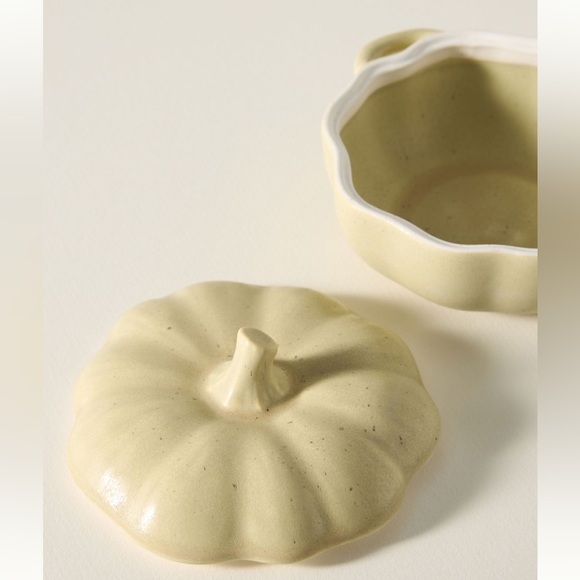 Anthropologie Speckled Stoneware Pumpkin Cocotte | Chartreuse | NIB